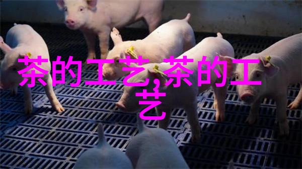 天目青顶的采制工艺