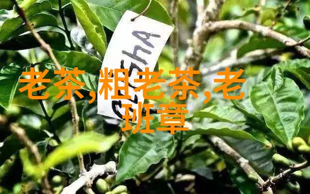 怎么冲泡太平猴魁茶叶--普洱茶网