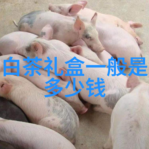 温州黄汤 - 浙江名茶中的瑰宝 - 历史与品质的传承