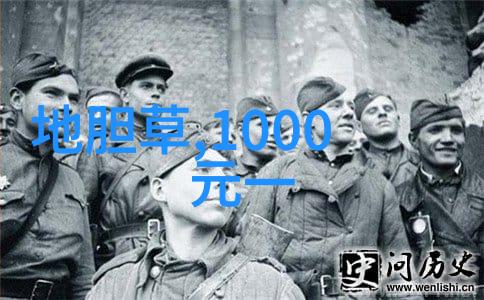 陈皮丁香茶