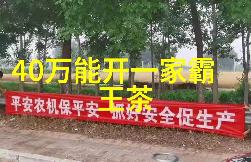 乌龙茶的种类与功效 - 饮用方法与注意事项