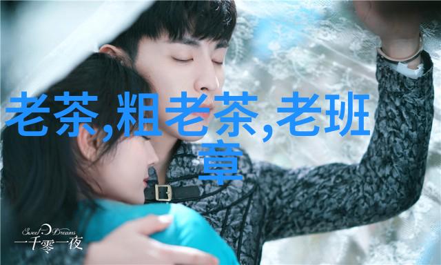 安化花砖茶保存方法