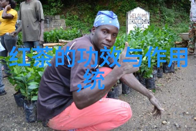 家庭冲泡政和工夫的方法